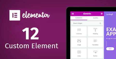 Elementor Page Builder